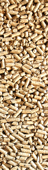 pellet